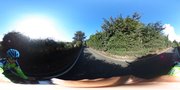 イギリスの田舎道