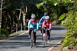 2015サイクリング屋久島