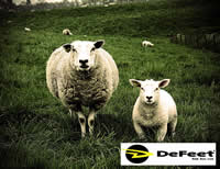 ＤｅＦｅｅｔ ＆ ＳｈｏｃｋＤｏｃｔｏｒ