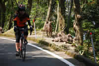 2012サイクリング屋久島、2/19開催