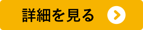 詳細を見る