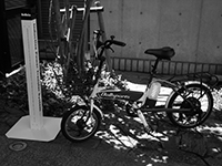 株式会社ベルニクス