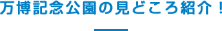 万博記念公園の見どころ紹介！