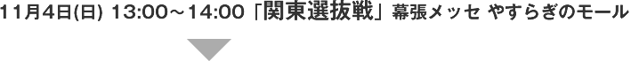 11月4日(日) 13:00～14:00「関東選抜戦」幕張メッセ やすらぎのモール