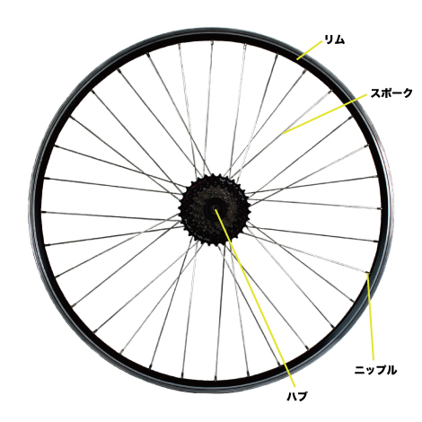 ホイール:リム、スポーク、ニップル、ハブ、バルブ