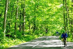 ＡＯＭＯＲＩ　ＣＹＣＬＩＮＧ