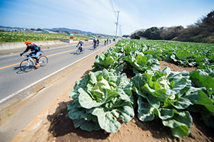 三浦半島でサイクリング！