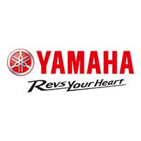 新感覚YPJシリーズの次なる可能性へ