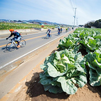 三浦半島でサイクリング！