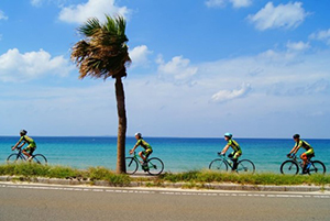 サンケイスポーツ自転車イベント