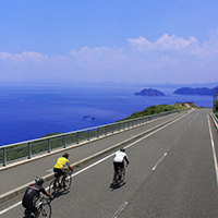 南国鹿児島・南さつまで冬でもサイクリング