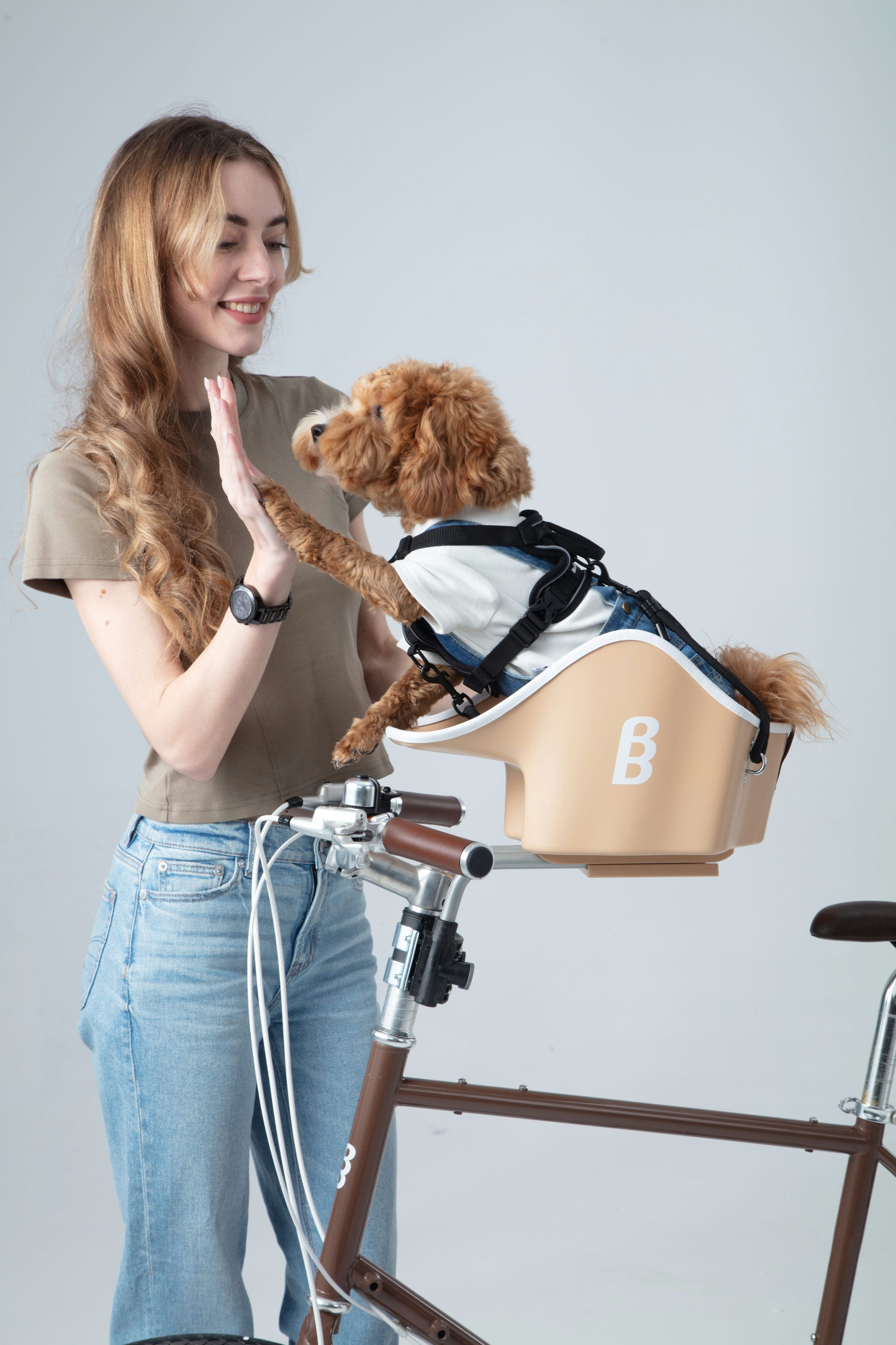 ペットと一緒に、もっと自由で楽しいサイクリングを！