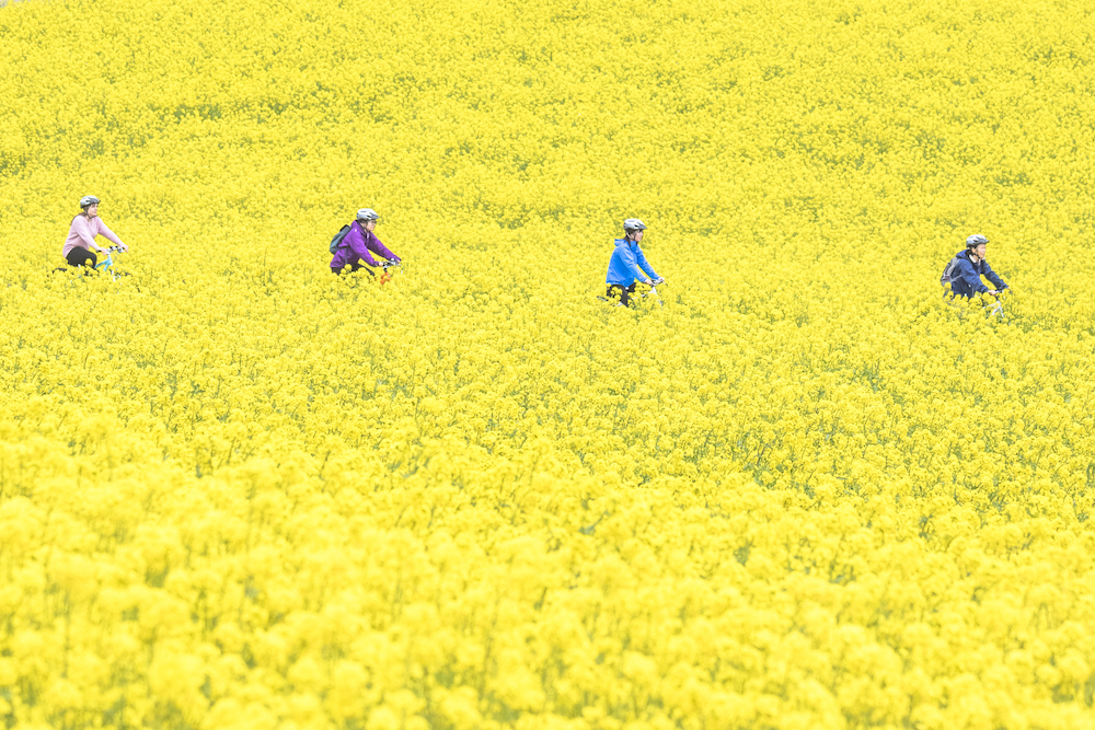 信越自然郷で春を感じてみませんか?