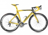 11 TIMES TDF WINNERS